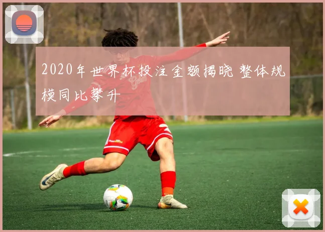 2020年世界杯投注金额揭晓 整体规模同比攀升