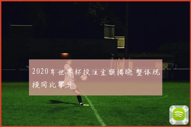 2020年世界杯投注金额揭晓 整体规模同比攀升